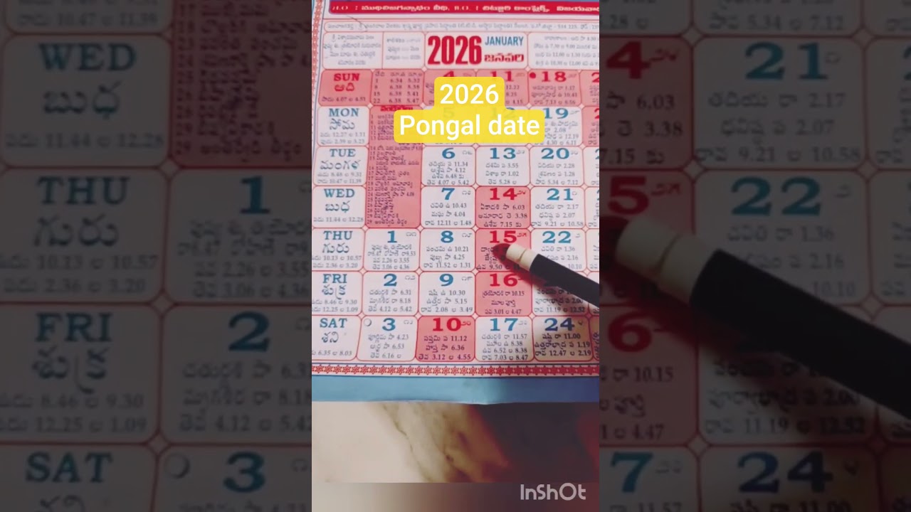 2026 pongal date/2026 pongal festival date/2026 sankranti festival date #shorts #viral #ytshorts #yt