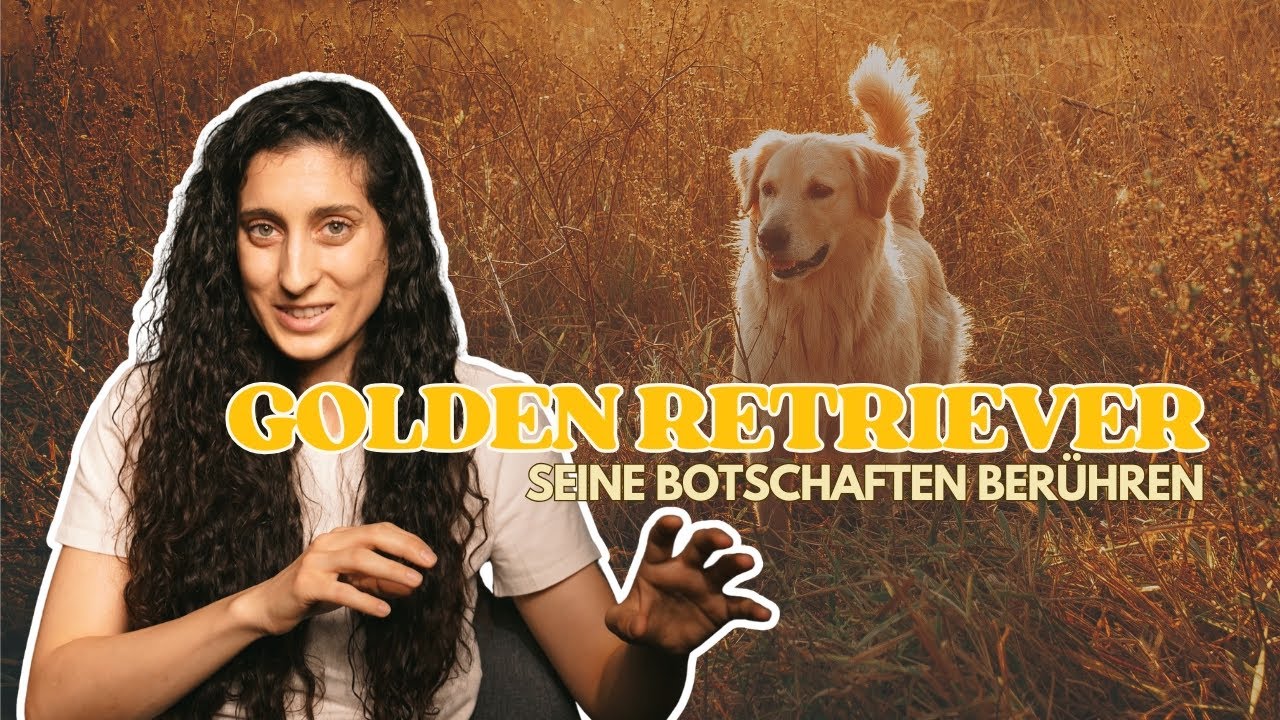 Golden Retriever mit Kiefertumor – ein Gespräch voller Liebe & Vertrauen
