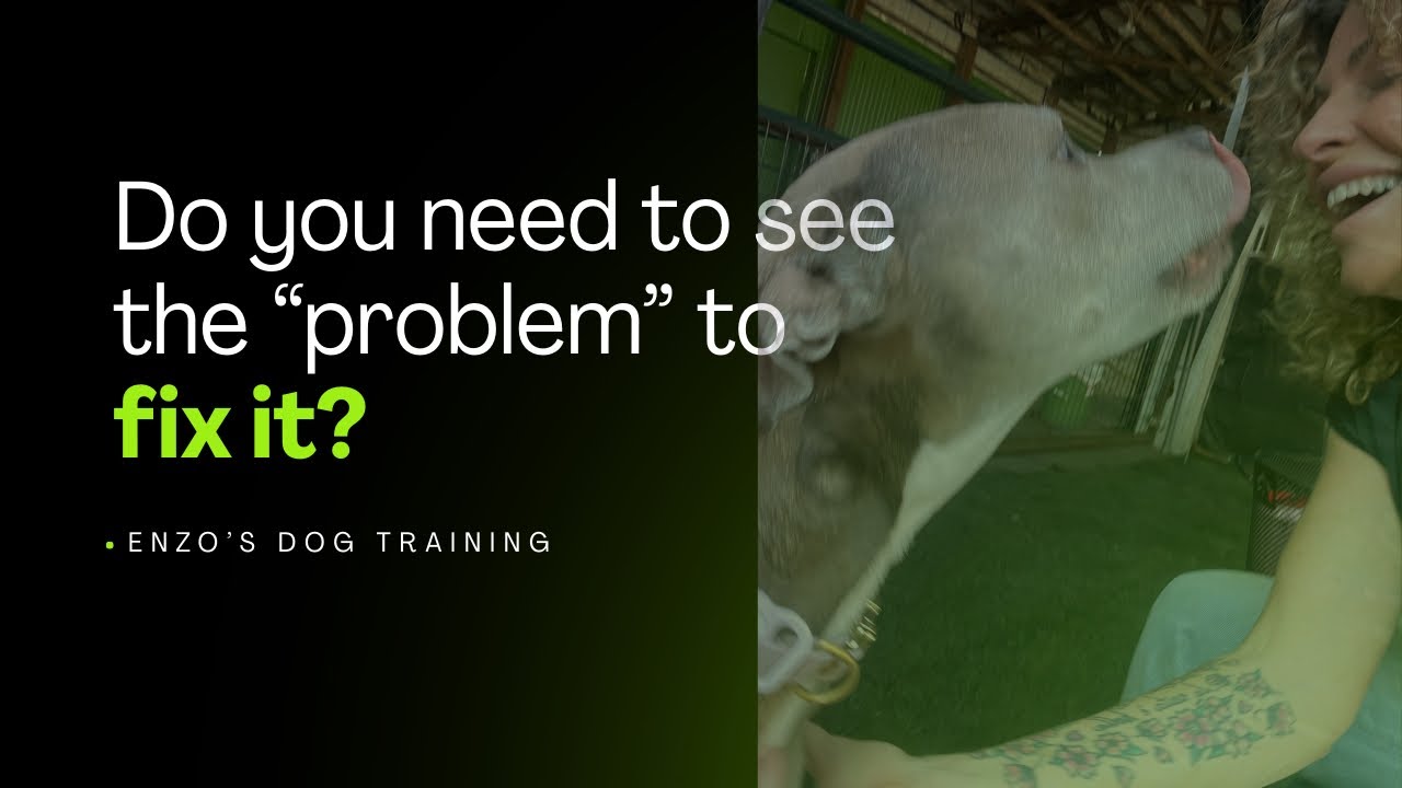 Do you need to see a dog fight to change the behavior? 
