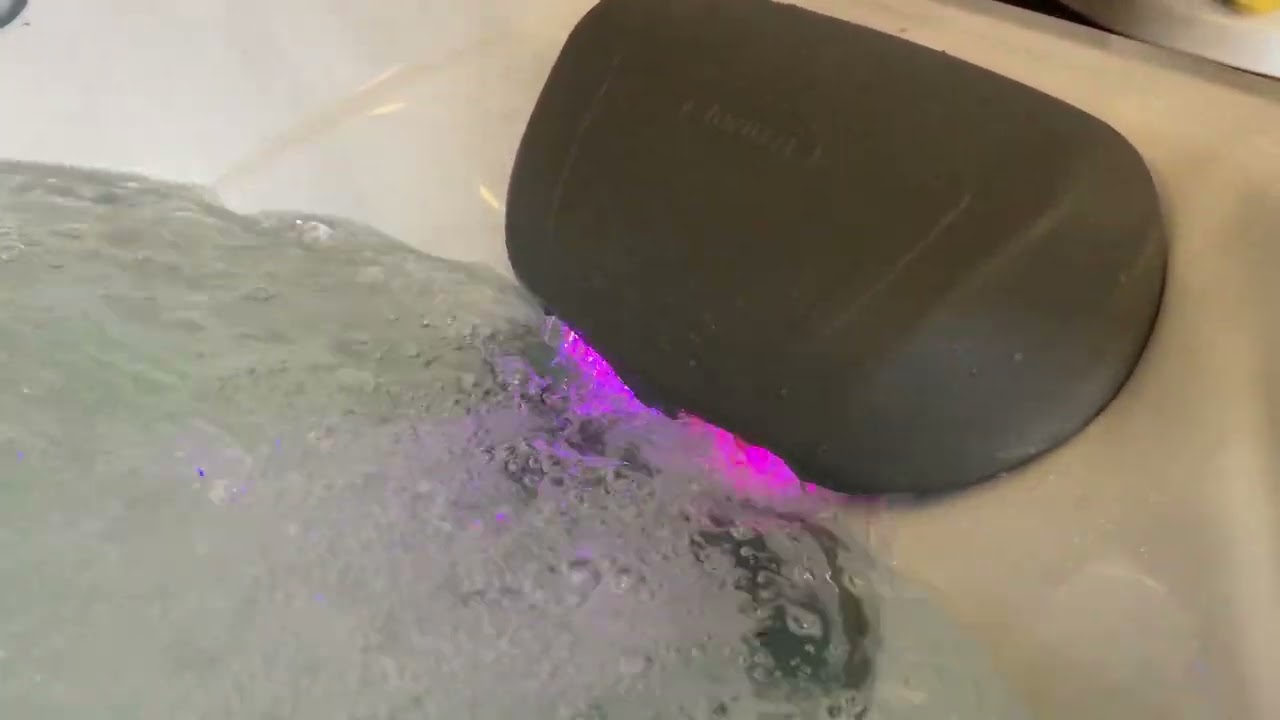2024 jacuzzi j335