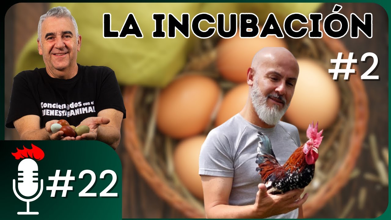 🎙️ MANUAL de BUENAS PRÁCTICAS en la INCUBACIÓN - Parte 2 | Podcast #22 con Ronald Barquero