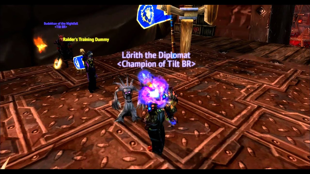 Raiding Training Dummy is a Blood Elf!