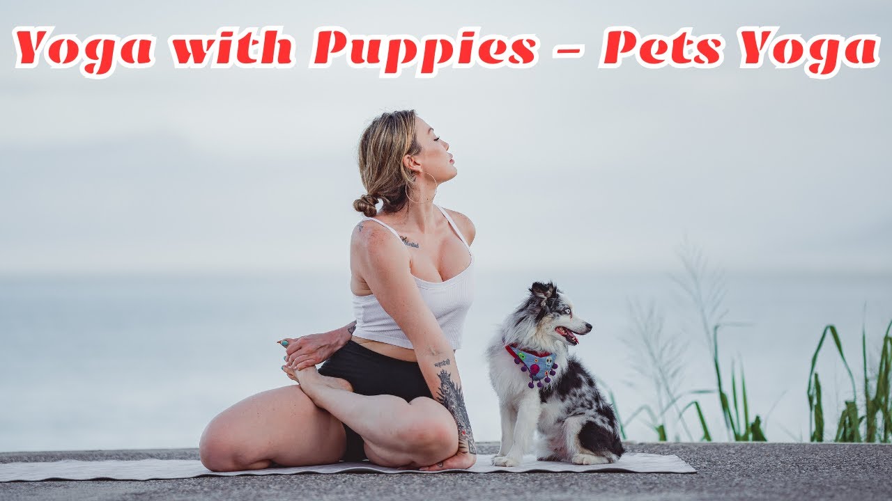 Yoga with Puppies   Pets Yoga