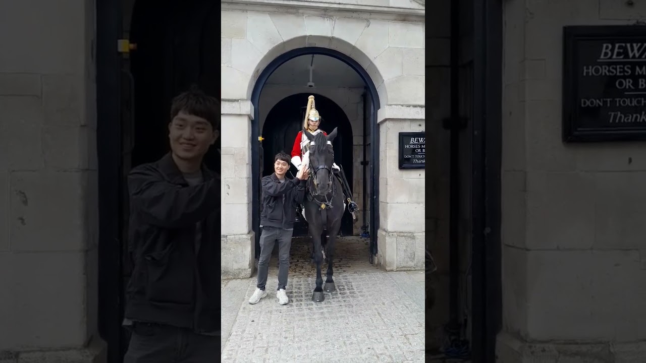 BEAUTIFUL MOMENT FOR Royal  soldier with the king horse 🐴
