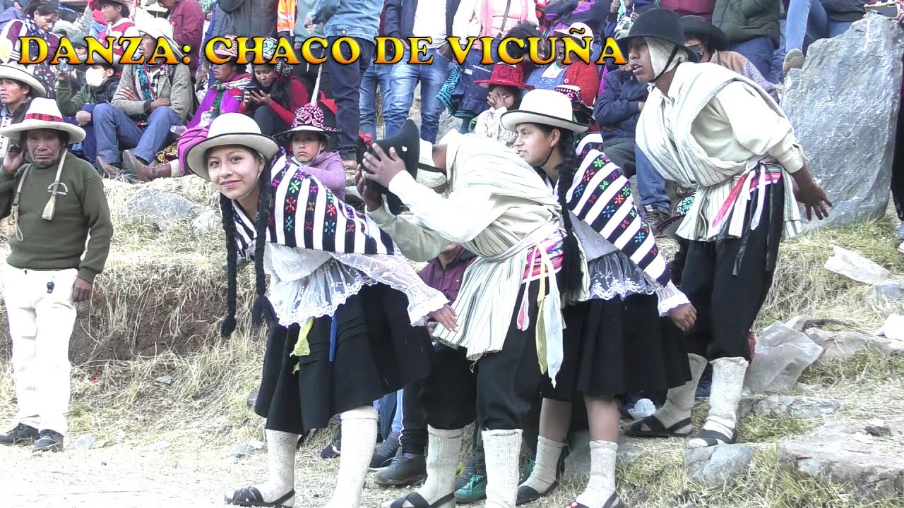 Danza: Chaku de Vicuña ,  Centro  Cultural  Orleans  Goleman -  Warari 2022