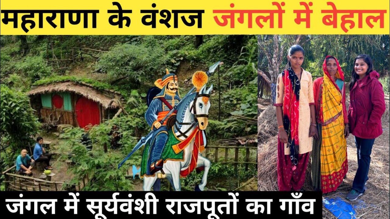 महाराणा प्रताप के वंशज का जंगल मैं हाल || Rajasthan Village Life || Documentary Village Life