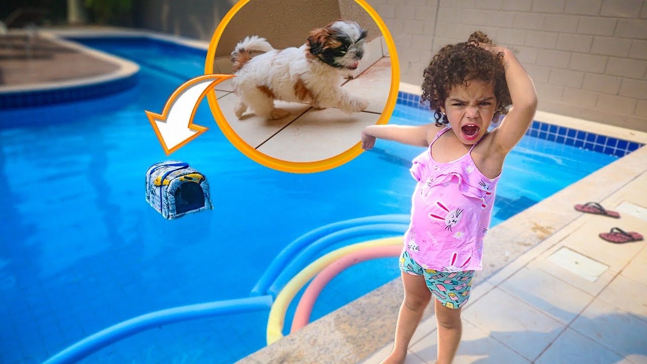 MINHA CACHORRINHA CAIU NA PISCINA * entrei em desespero *