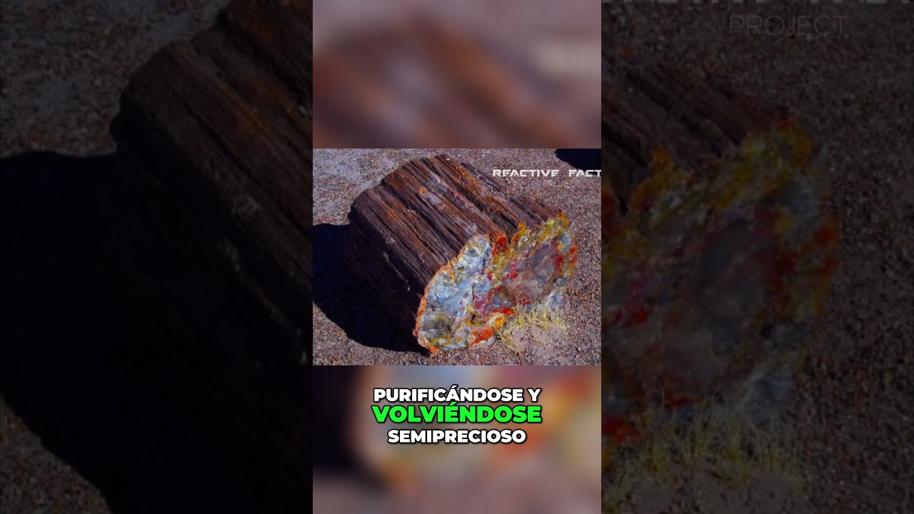 &iquest;Similitudes Alqu&iacute;micas  Arriba y Abajo  🧐