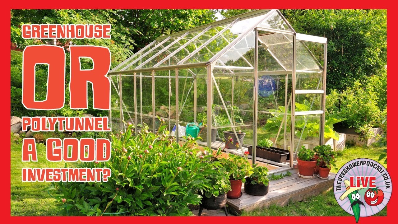 🔴live: Is a greenhouse or polytunnel worth investing in?