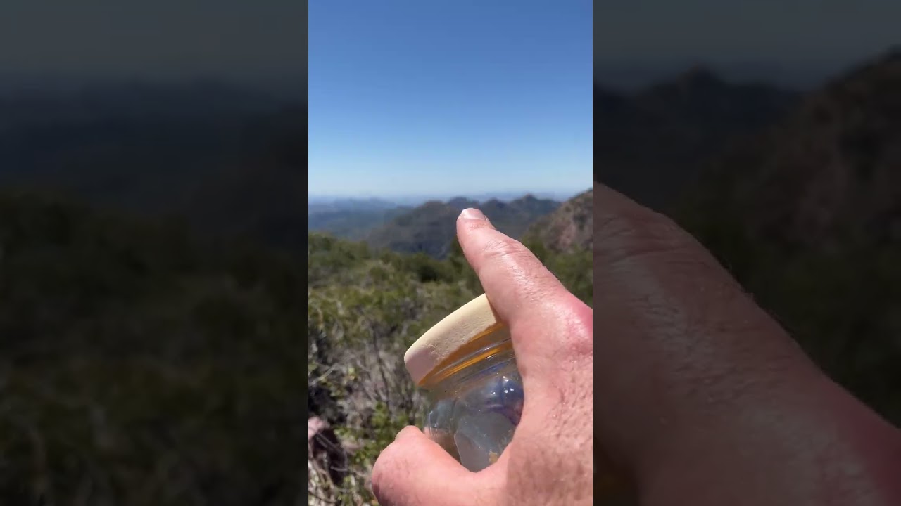 Peak 7579 - Mazatzal Wilderness, AZ - 4/20/24