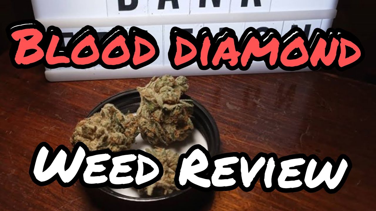 Sativa Strain Review- Blood Diamond
