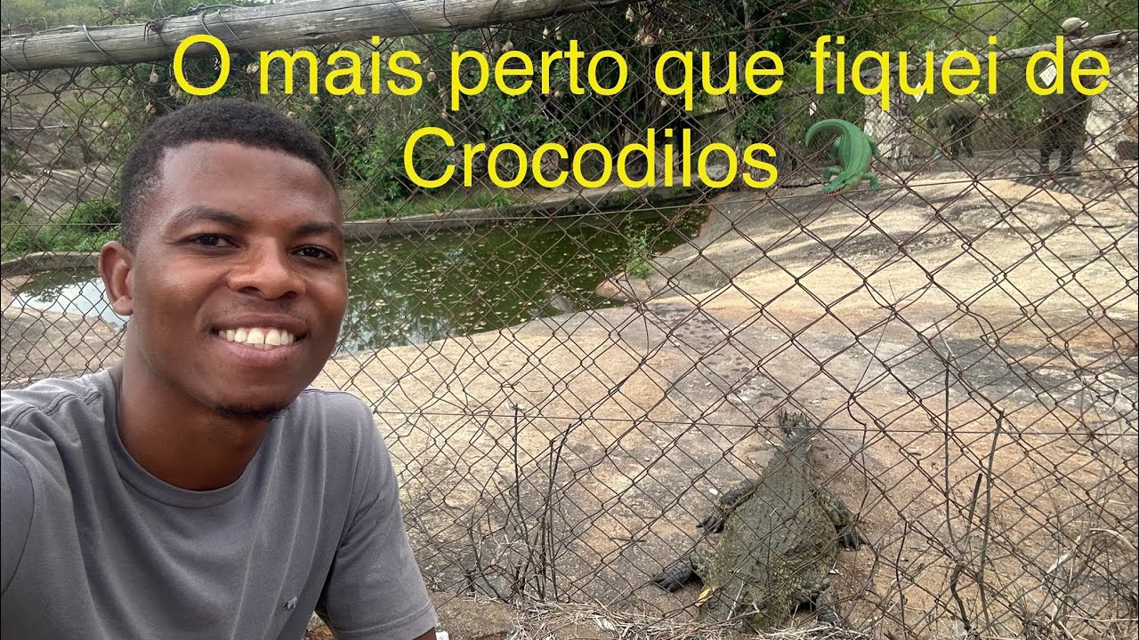 O mais perto que fiquei de Crocodilos 🐊