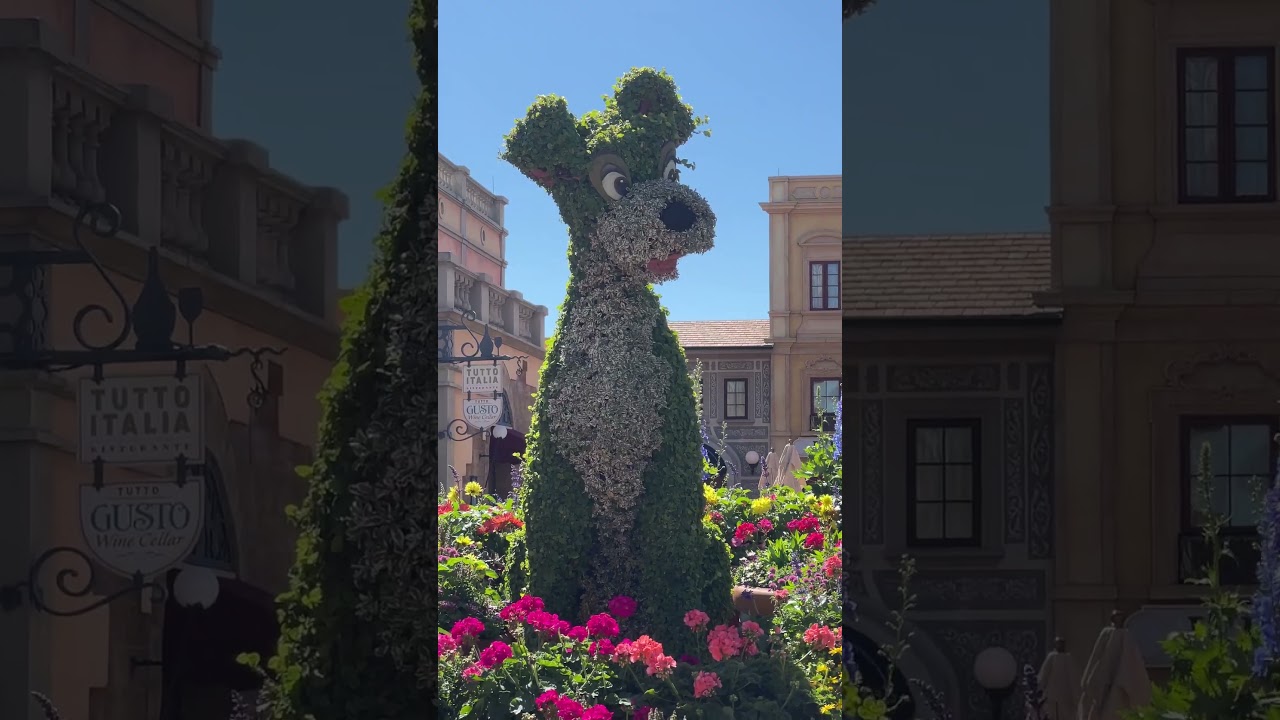 &ldquo;SNEAK PEEK&rdquo; Lady & The Tramp Topiary @Disney&rsquo;s EPCOT Italy Pavilion upcoming Flower&Garden Festival