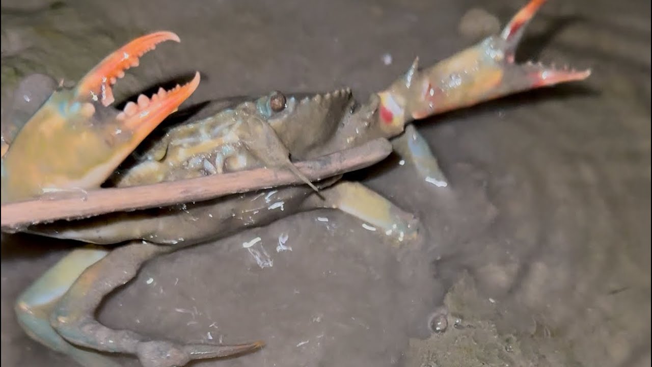 Fishing