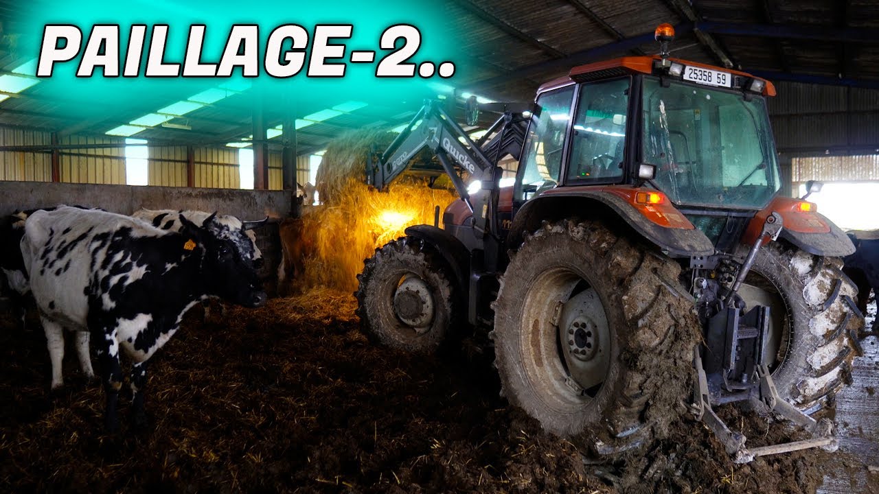 Aide dans une ferme (André) paillage-2..