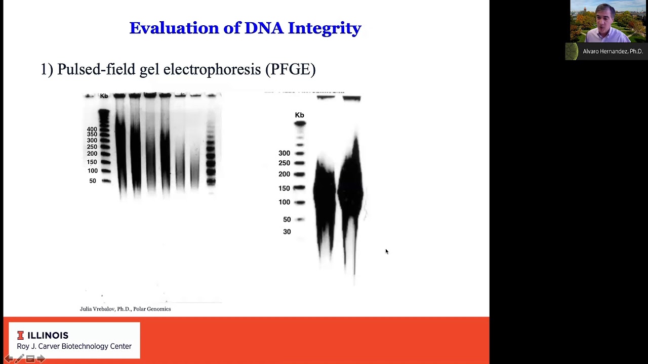 Using the capabilities of the Sequel II System for genome assembly and full-length16S sequencing