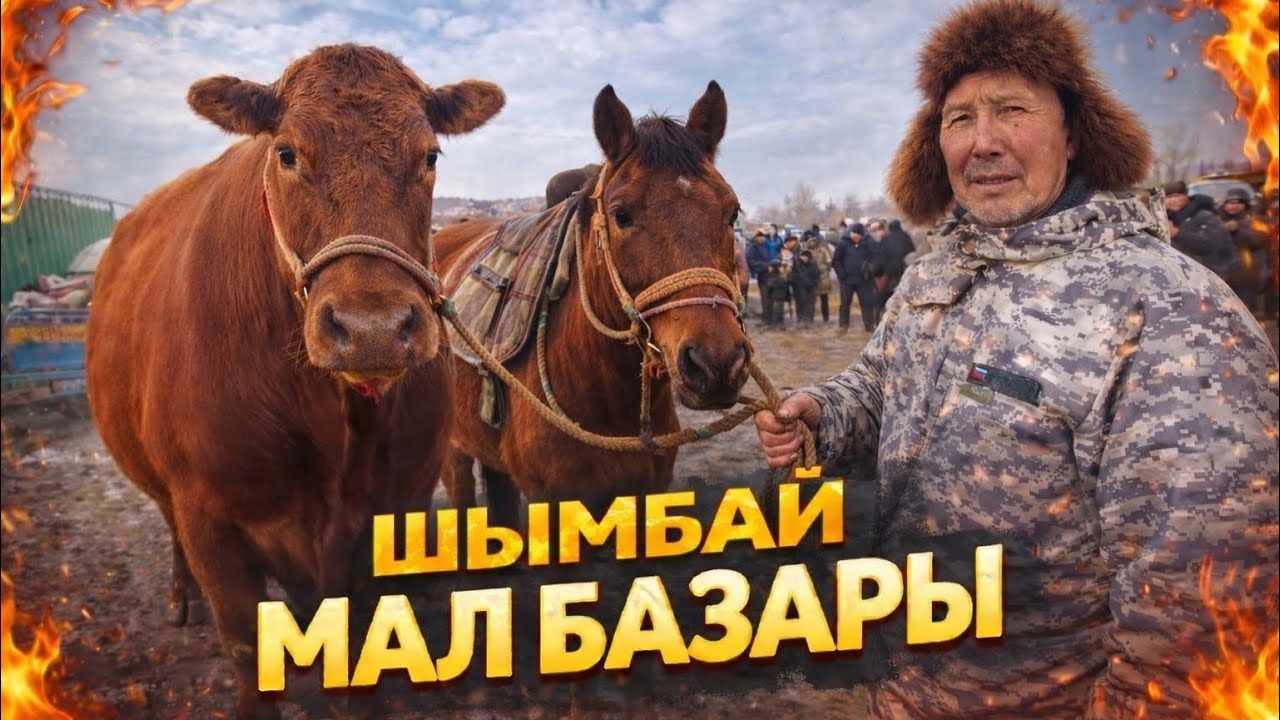 ТЕЗ ХАБАР!😱1-ФЕВРАЛДАН ШЫМБАЙ МАЛ БАЗАРЫ БАХАЛАРЫ ӨЗГЕРДИ!