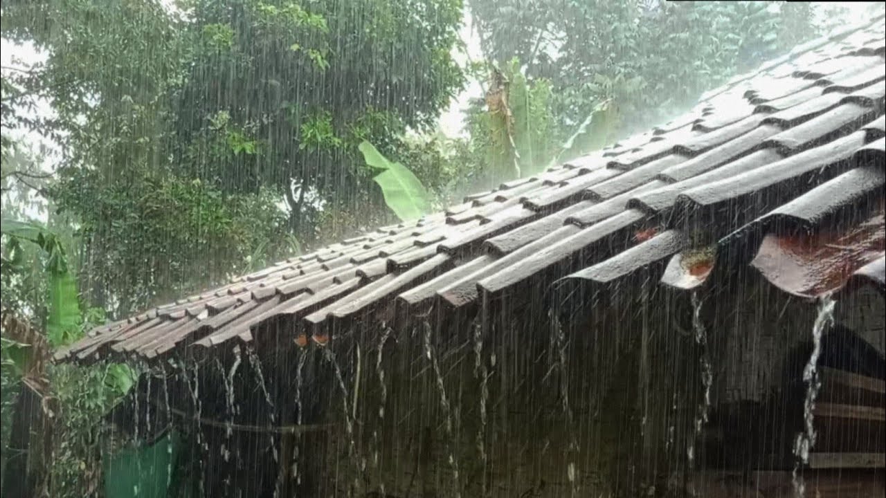 Звуки сильного дождя для сна 🌧️ Спокойный дождь для глубокого сна и снятия стресса