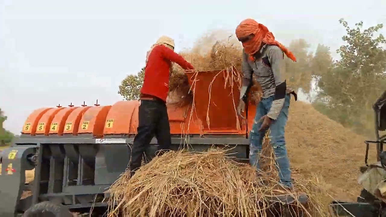 paddy thresher