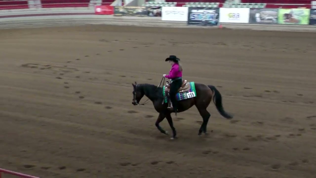 NOVICE HORSE 24 155 TAFYS SWEET HEN   JANICE L DESROSIERS