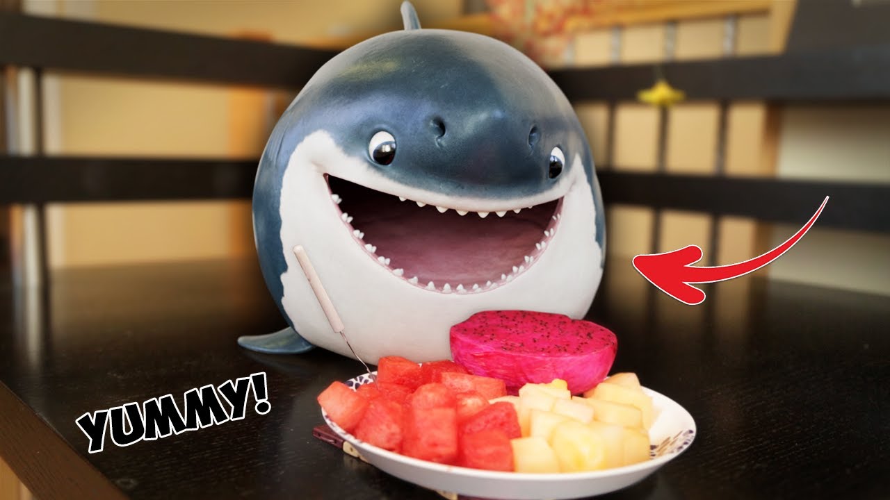 Adorable Baby Shark Steals Dragon Fruit &ndash; What Happens Next is Priceless!