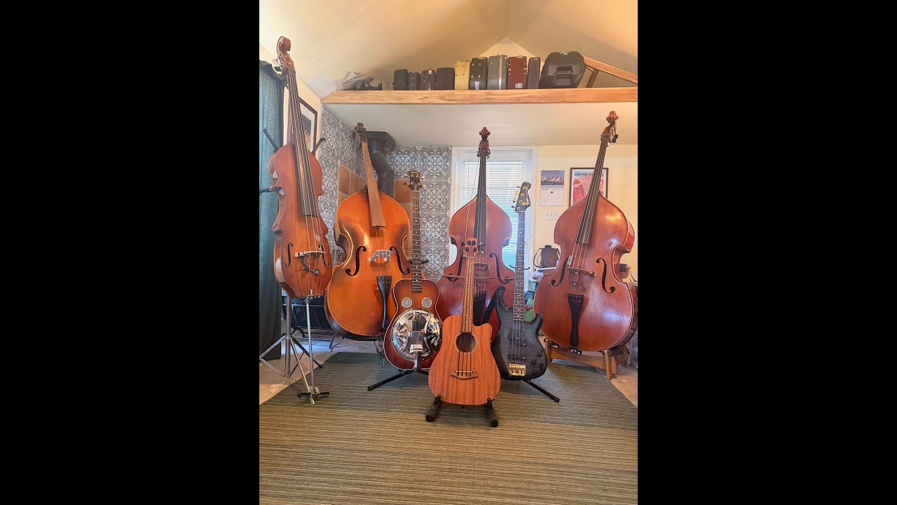 Bass Bites: Types of Basses You May Meet