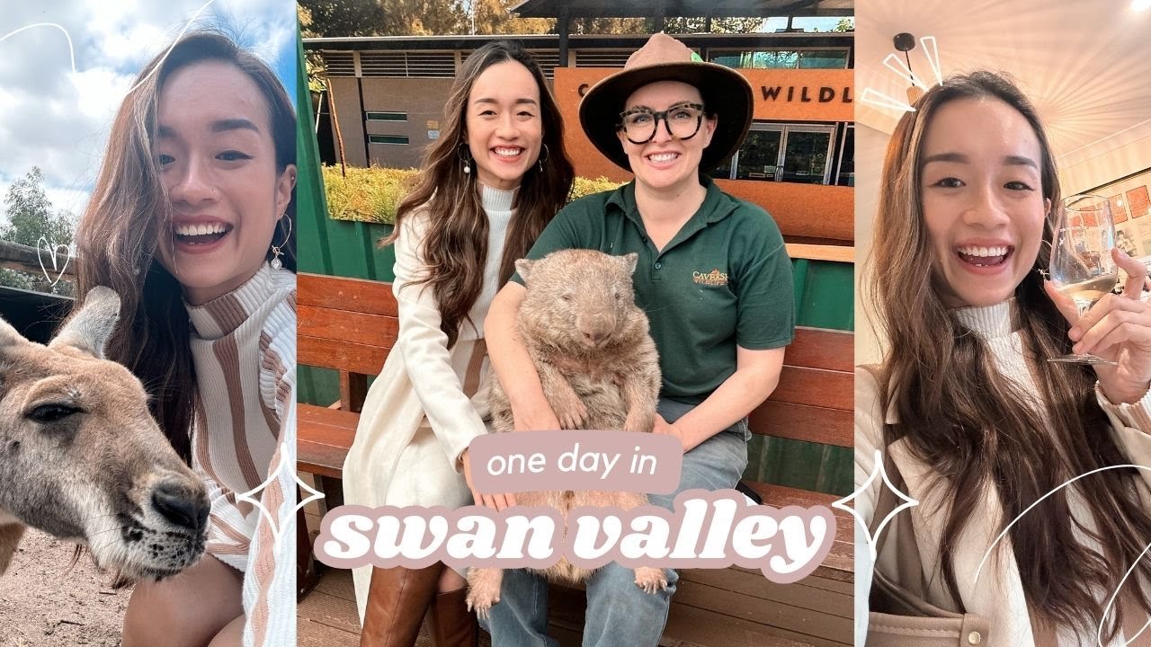 solo trip to swan valley 💙 caversham wildlife park, yahava koffeeworks, house of the honey & more