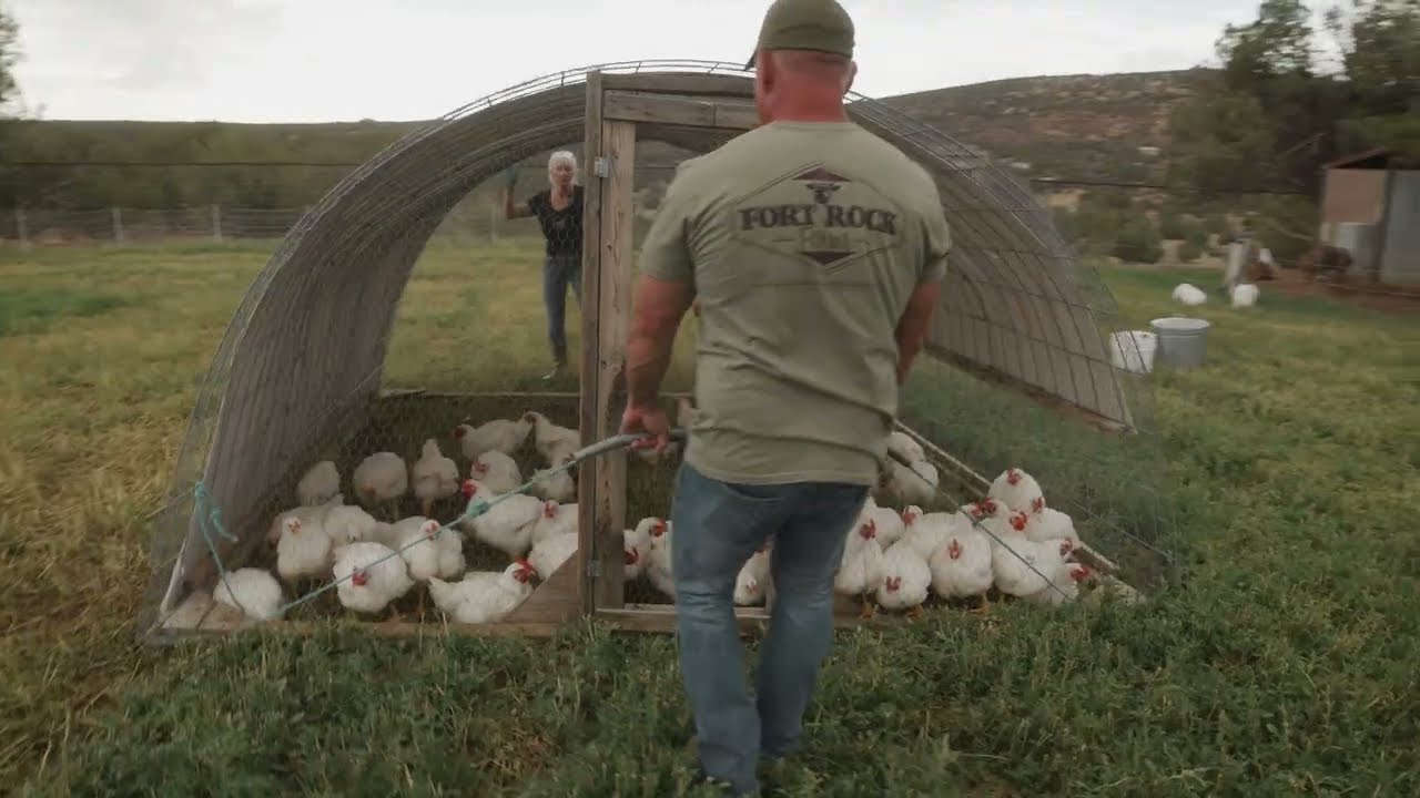 Tour of a 50 Acre Off Grid Homestead | PARAGRAPHIC Origins
