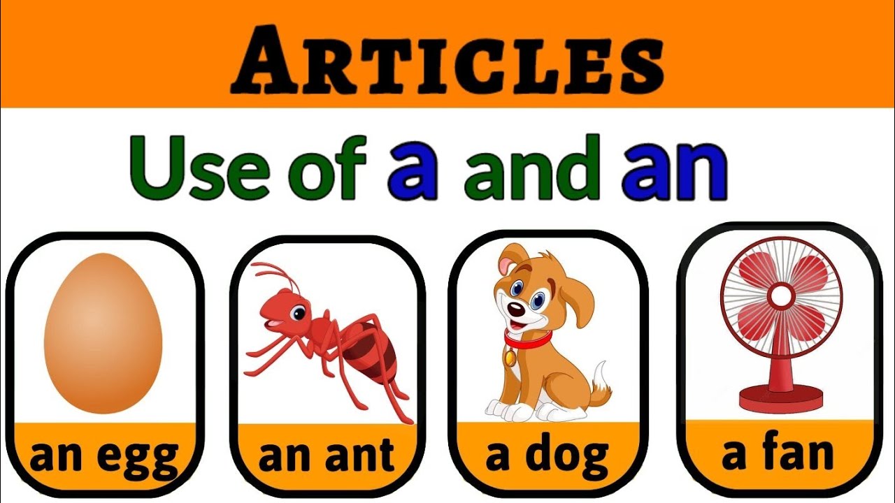 a and an | a and an for kids | Articles a  and an | Articles for kids | Use of a and an | 