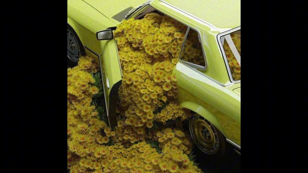 (FREE) Isaiah Rashad x Aaron May Type Beat - "Flowers"