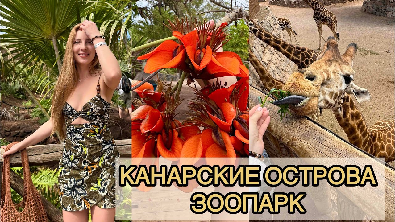 КАНАРСКИЕ ОСТРОВА,ФУЭРТЕВЕНТУРА, ИСПАНИЯ, CANARY ISLANDS, SPAIN.ЗООПАРК OASIS WILDLIFE FUERTEVENTURA