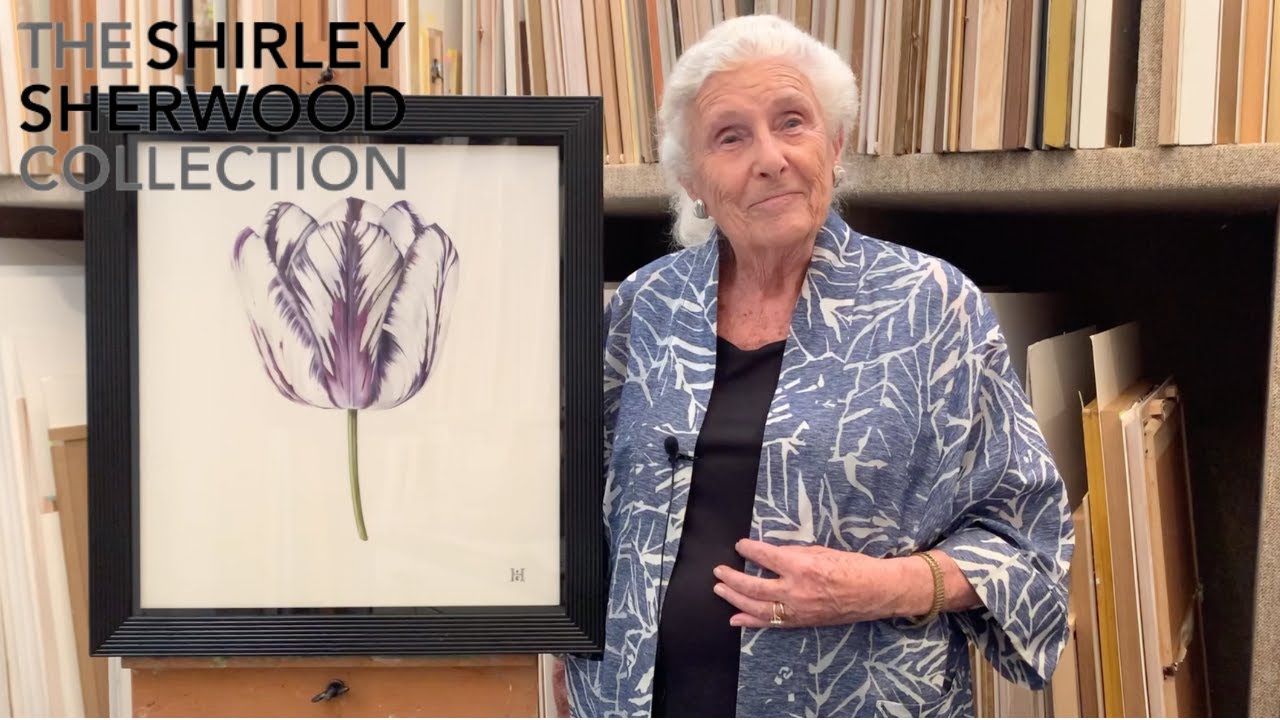 Dr Shirley Sherwood Presents: 'Rory McEwen' by Celia Hegedus