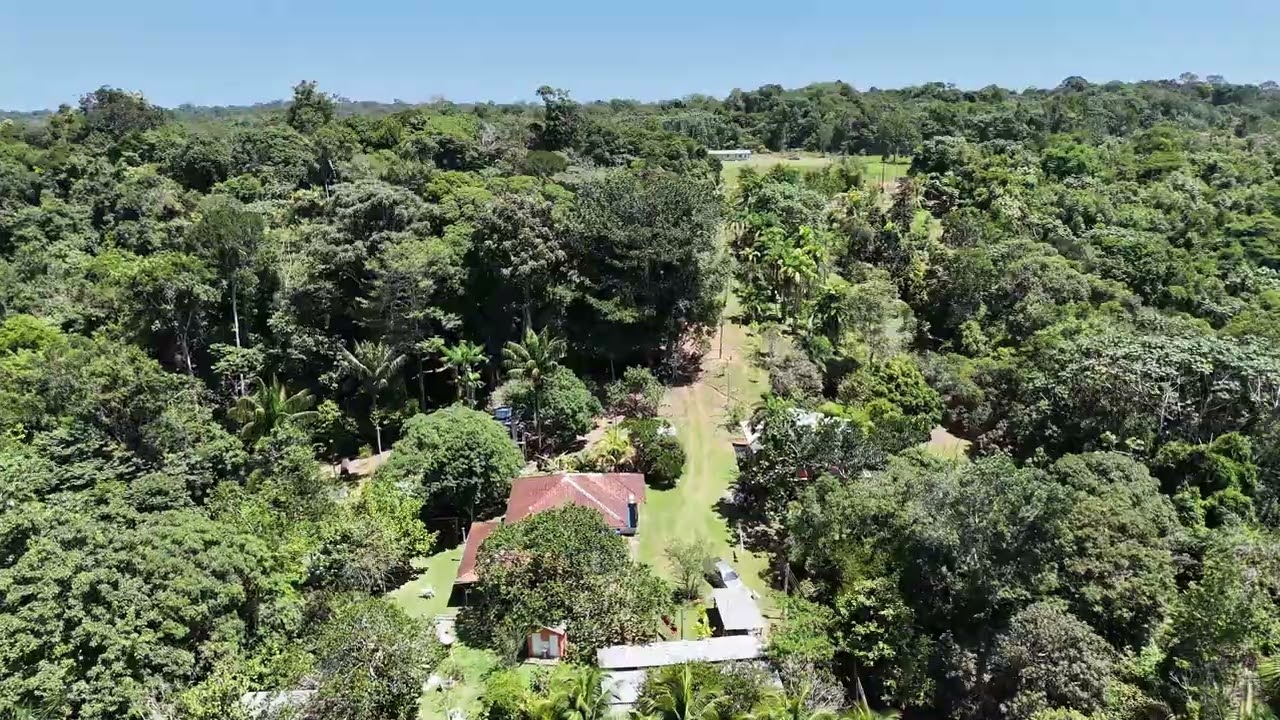 Sítio Santo Onofre no Ramal do Urubuí no KM-6 em Presidente Figueiredo-Am.