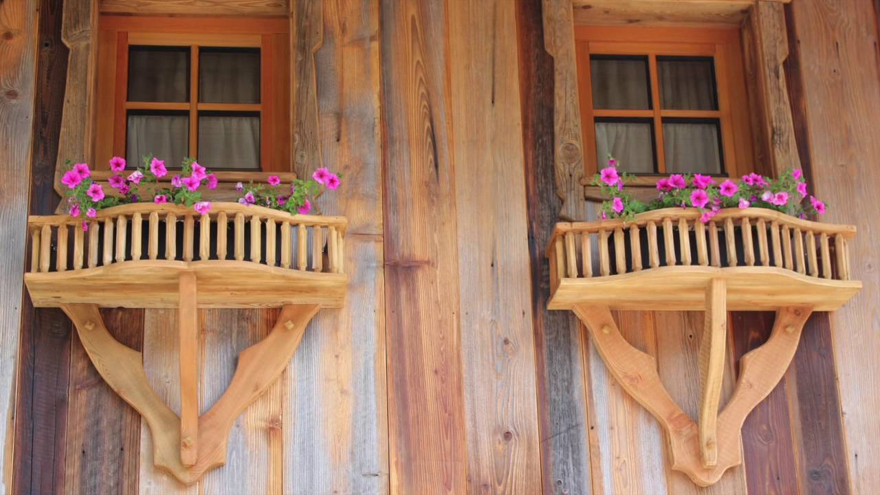 PROMI ALM & ALMDORF FLACHAU  im Sommer