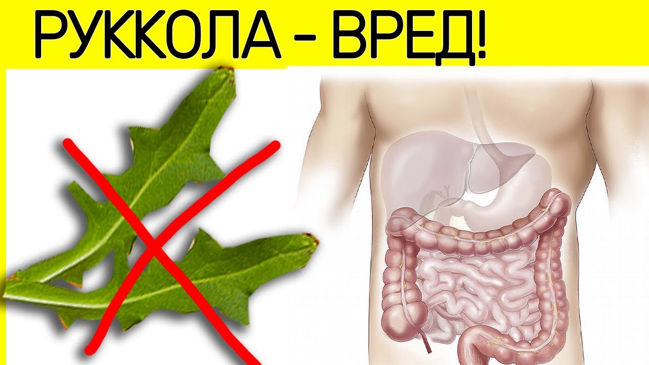 РУККОЛА ВРЕД! - влияние на Человеческий организм!