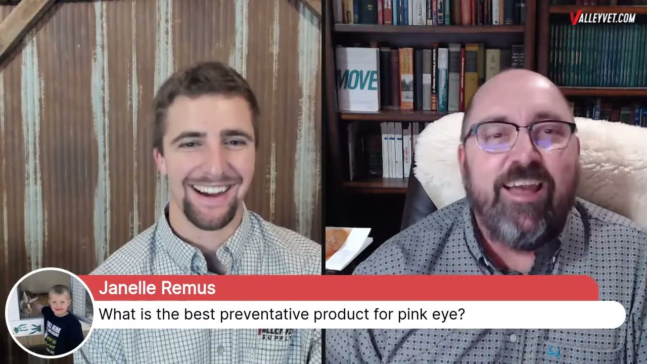 LIVE with Dr. Hawkins and Dr. Moore, Norbrook