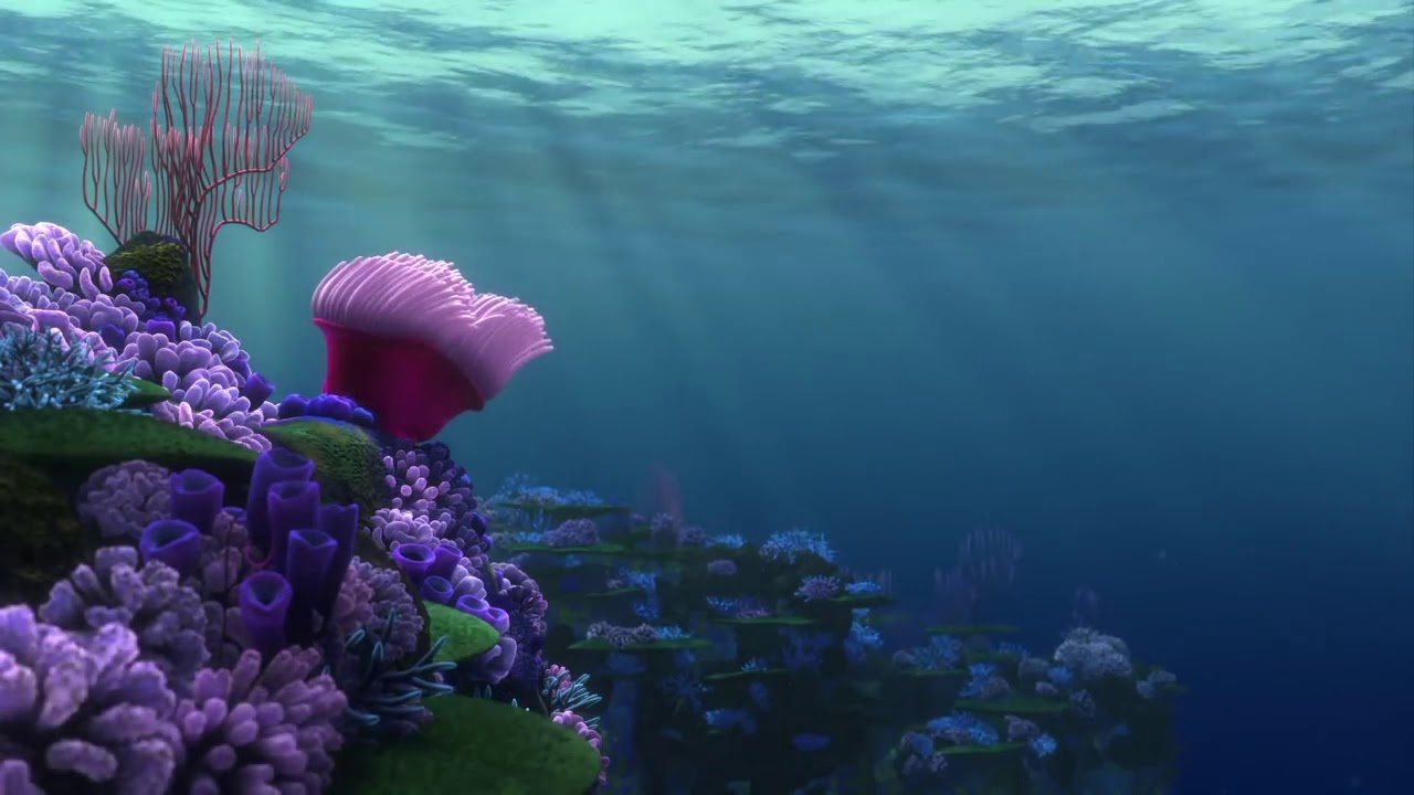 Finding Nemo Reef Compilation