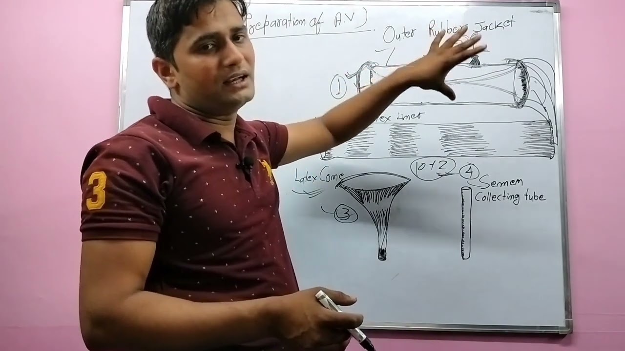 Preparation of Artificial Vagina// कृत्रिम योनि तैयार करना