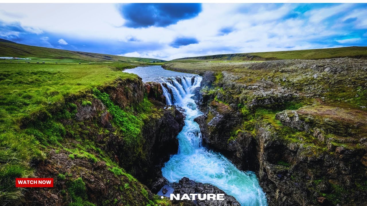 🎵 Calming Music & Gentle Nature Sounds for Stress Relief, Deep Sleep, Meditation, and Relaxation 🕊️🌅