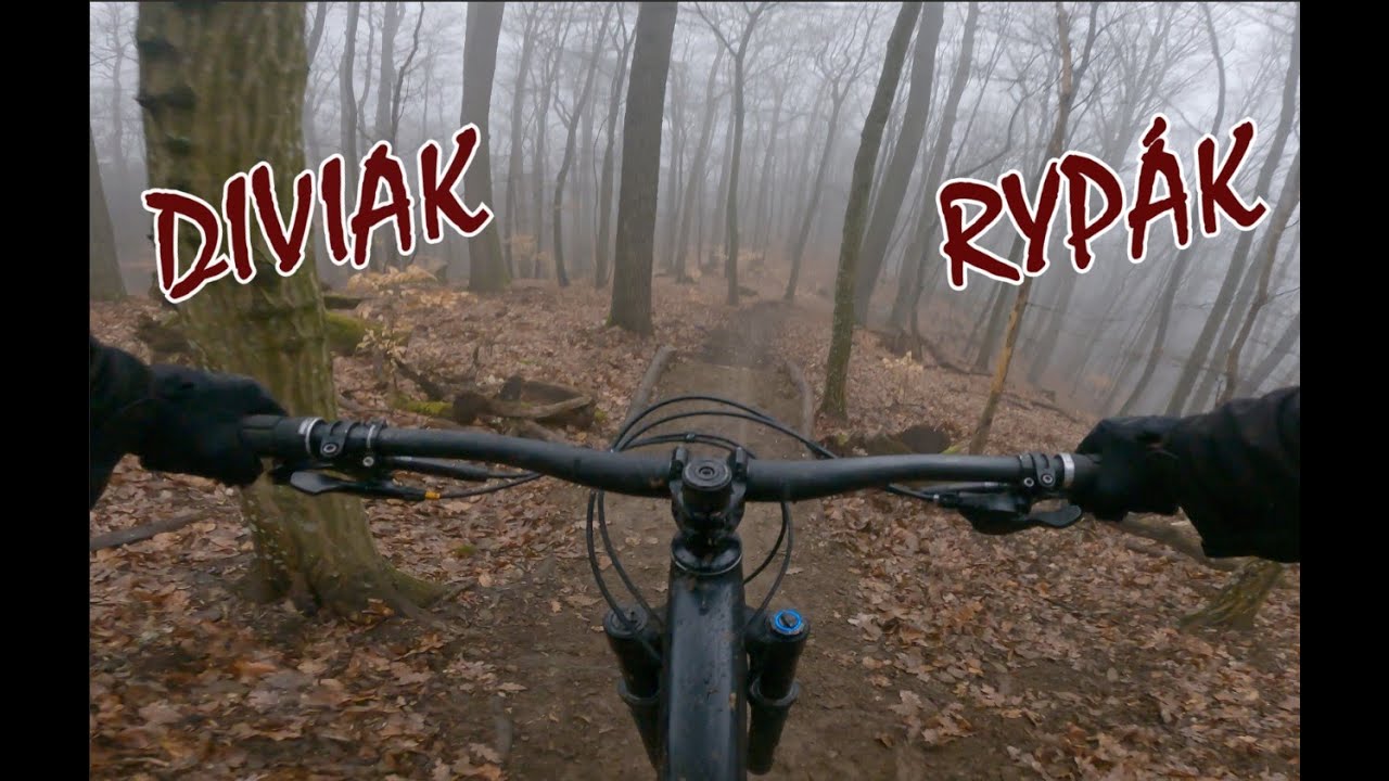 KECY - Diviak Rypák