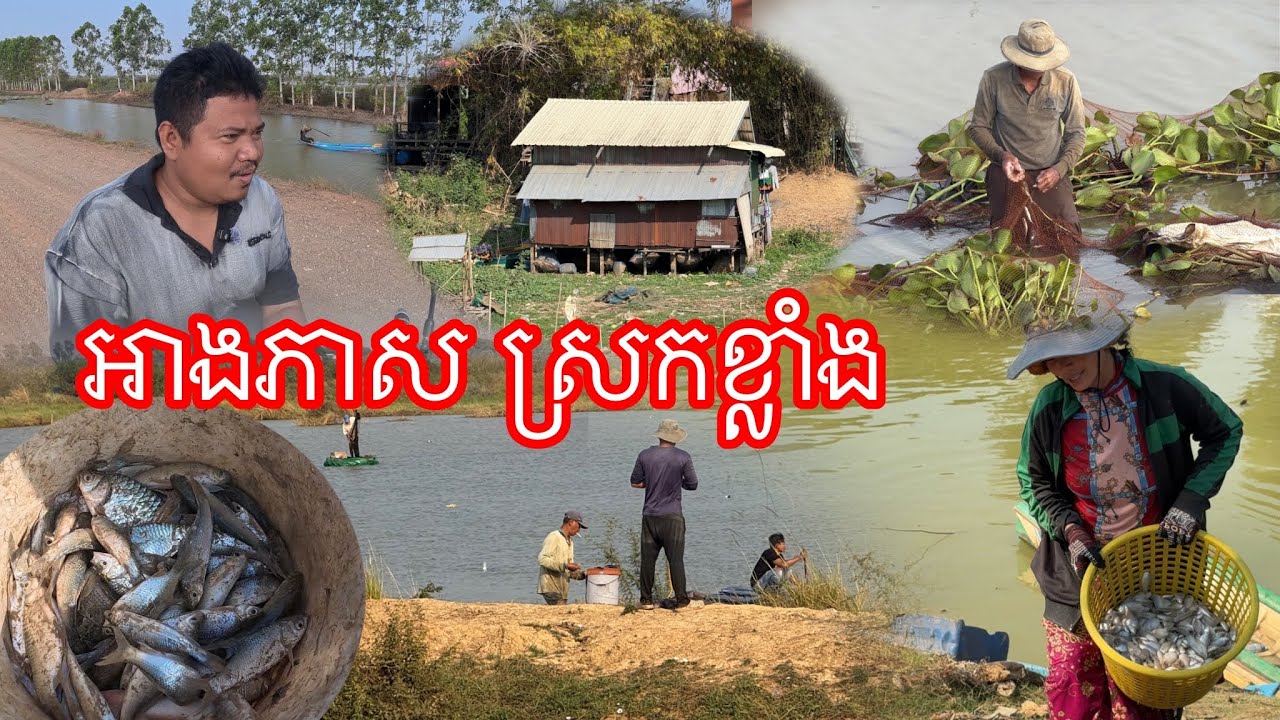 ទឹកស្រកខ្លាំង​ មនុស្សសម្រុកមករកត្រី​ អាងភាស​ 