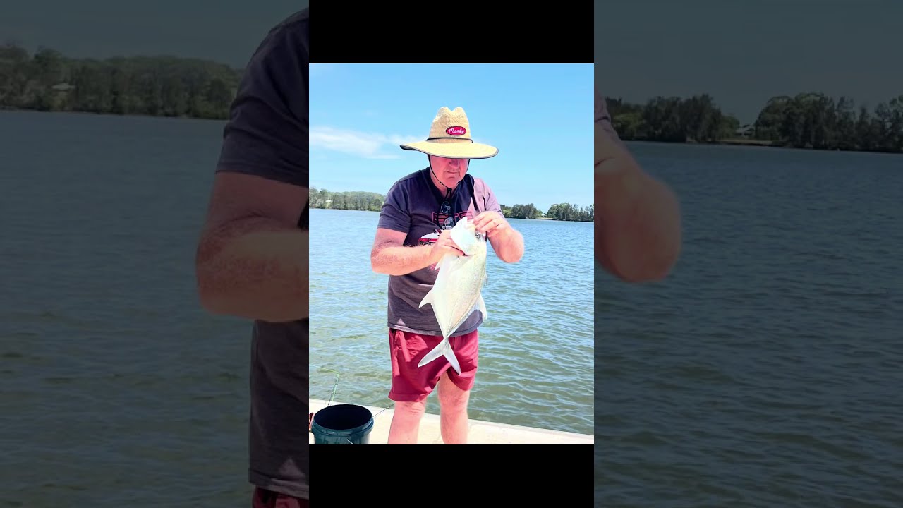 Trevally Manning River