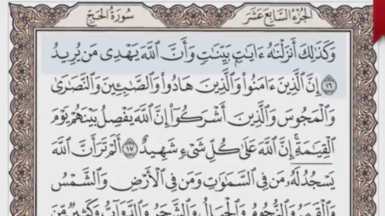 القرآن الكريم بالصفحات صوت وصورة ص/ 334 الشيخ محمود خليل الحصري بمد المنفصل