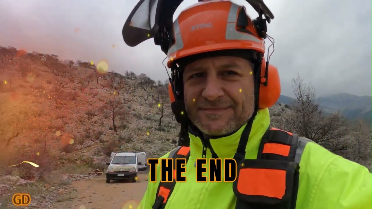 ΠΩΣ ΝΑ ΚΟΨΕΙΣ ΔΕΝΤΡΟ ΜΕ ΑΣΦΑΛΕΙΑ | HOW TO CUT A TREE SAFELY |ΑΠΟΦΥΓΗ ΚΙΝΔΥΝΩΝ.