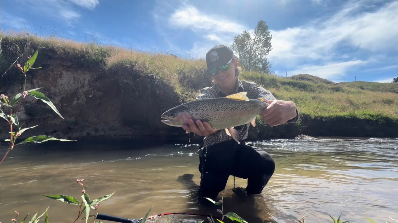 Midday Spot Change Saved the Day | Big Trout in a Backcountry Stream