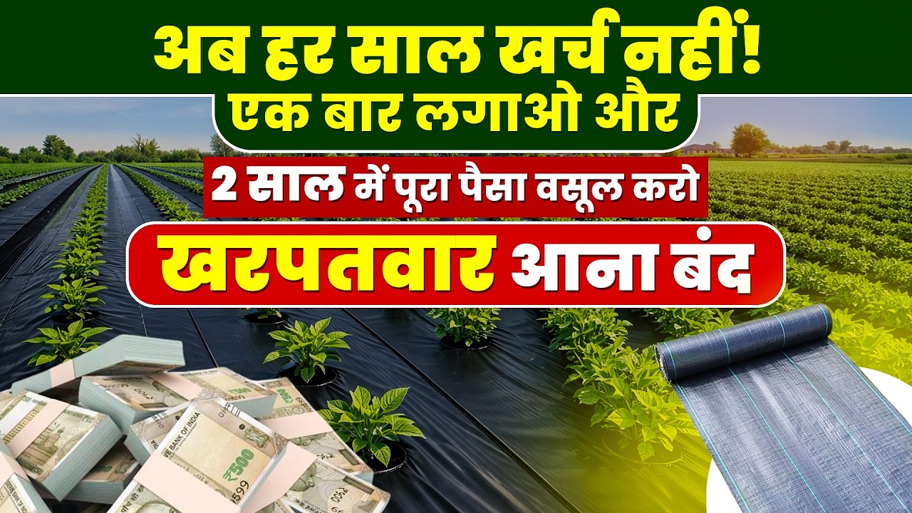 खरपतवार की छुट्टी… बस फसल की वृद्धि!
