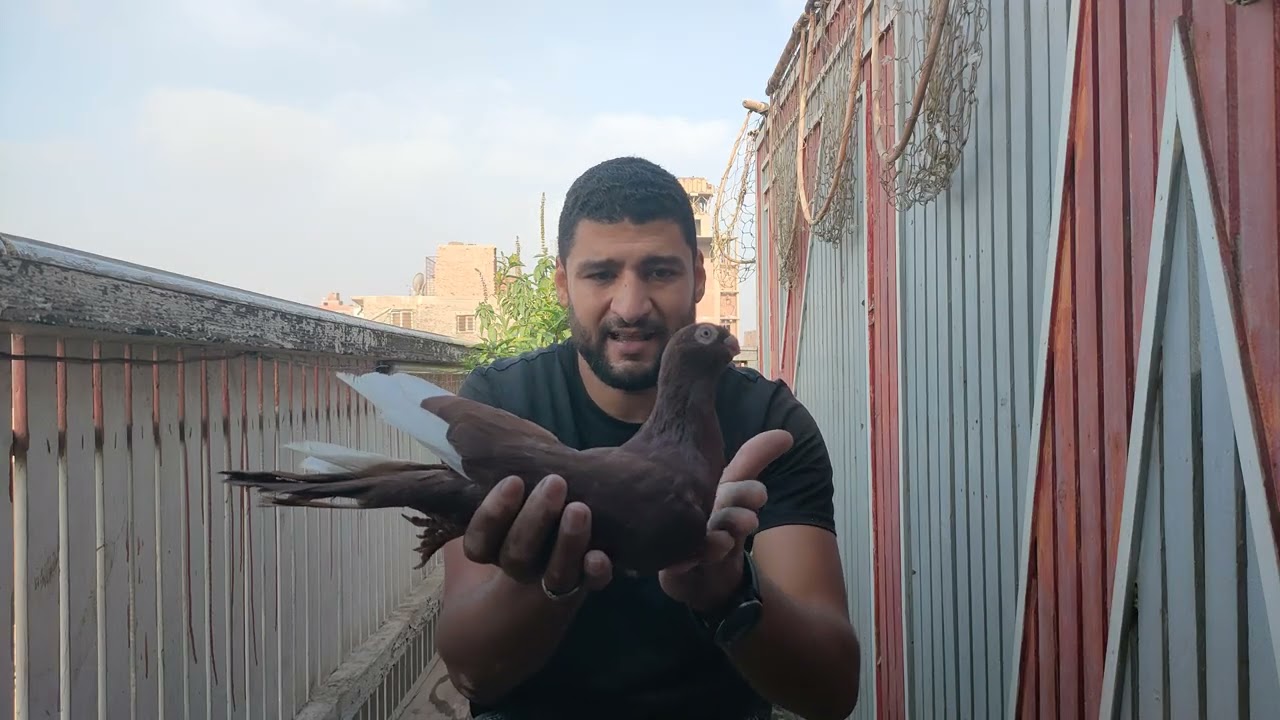 فرجه حمام وتعارف🤩🤩🤩🤩