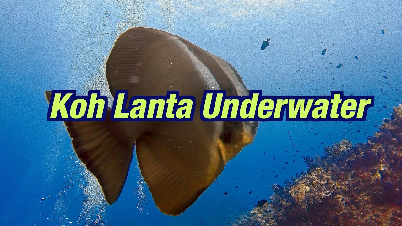 Koh Lanta Diving Underwater Experience