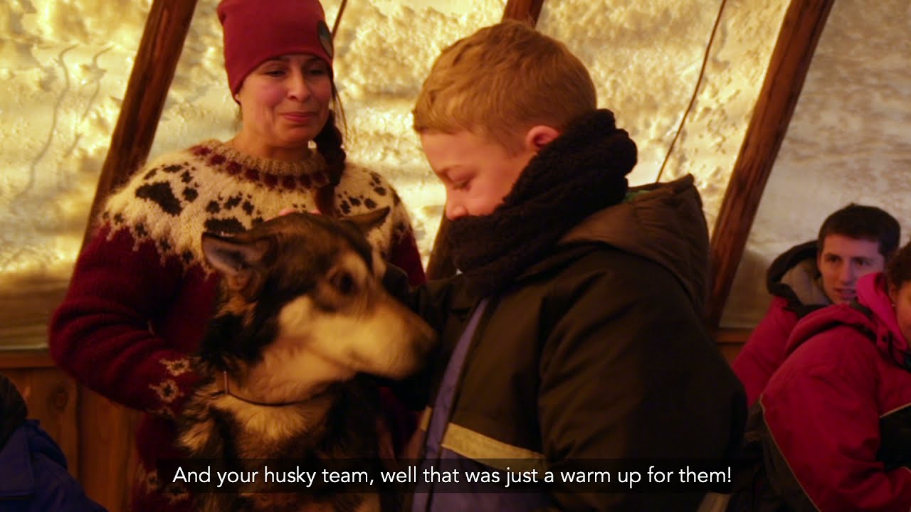 Husky Dog Sledding in Tromso Norway (a self drive tour with Arctic Adventure Tours)