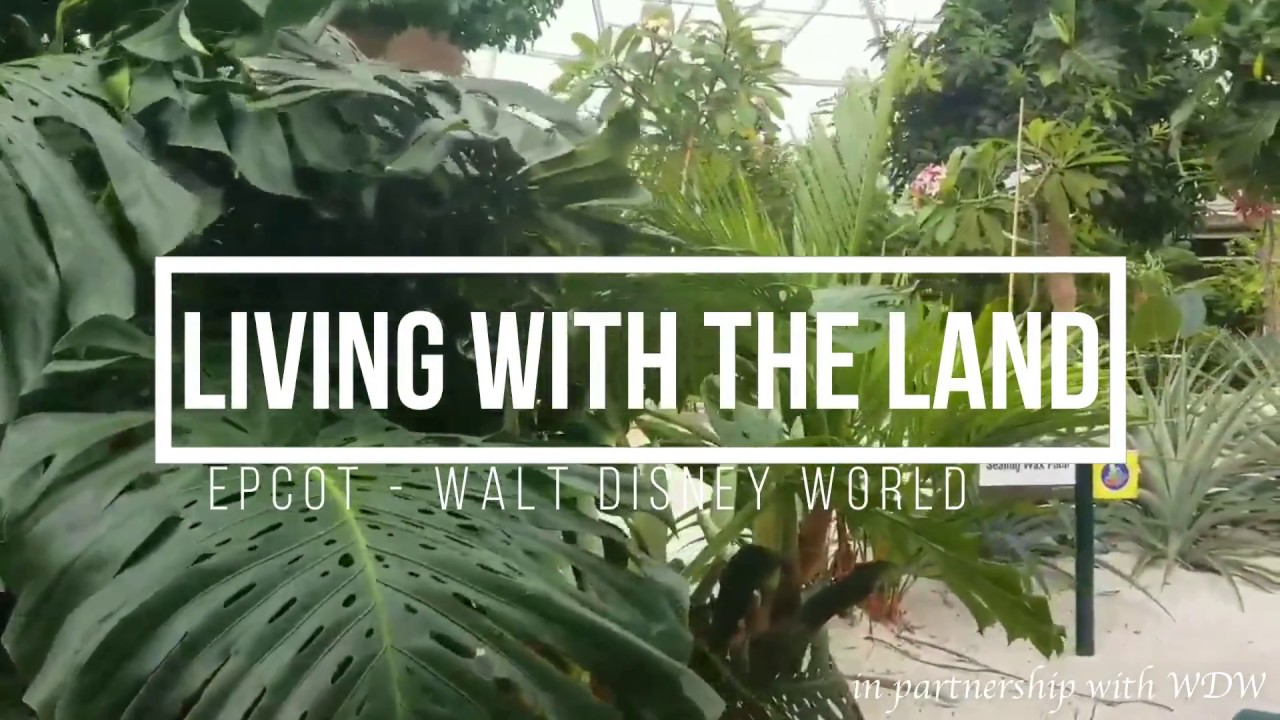 Quick Clip of Living with the Land Disney EPCOT Hydroponic Greenhouse